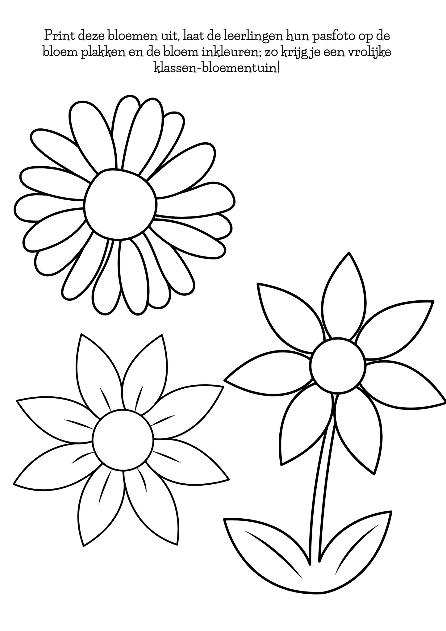 Dagritmekaarten thema 'Bloemen'