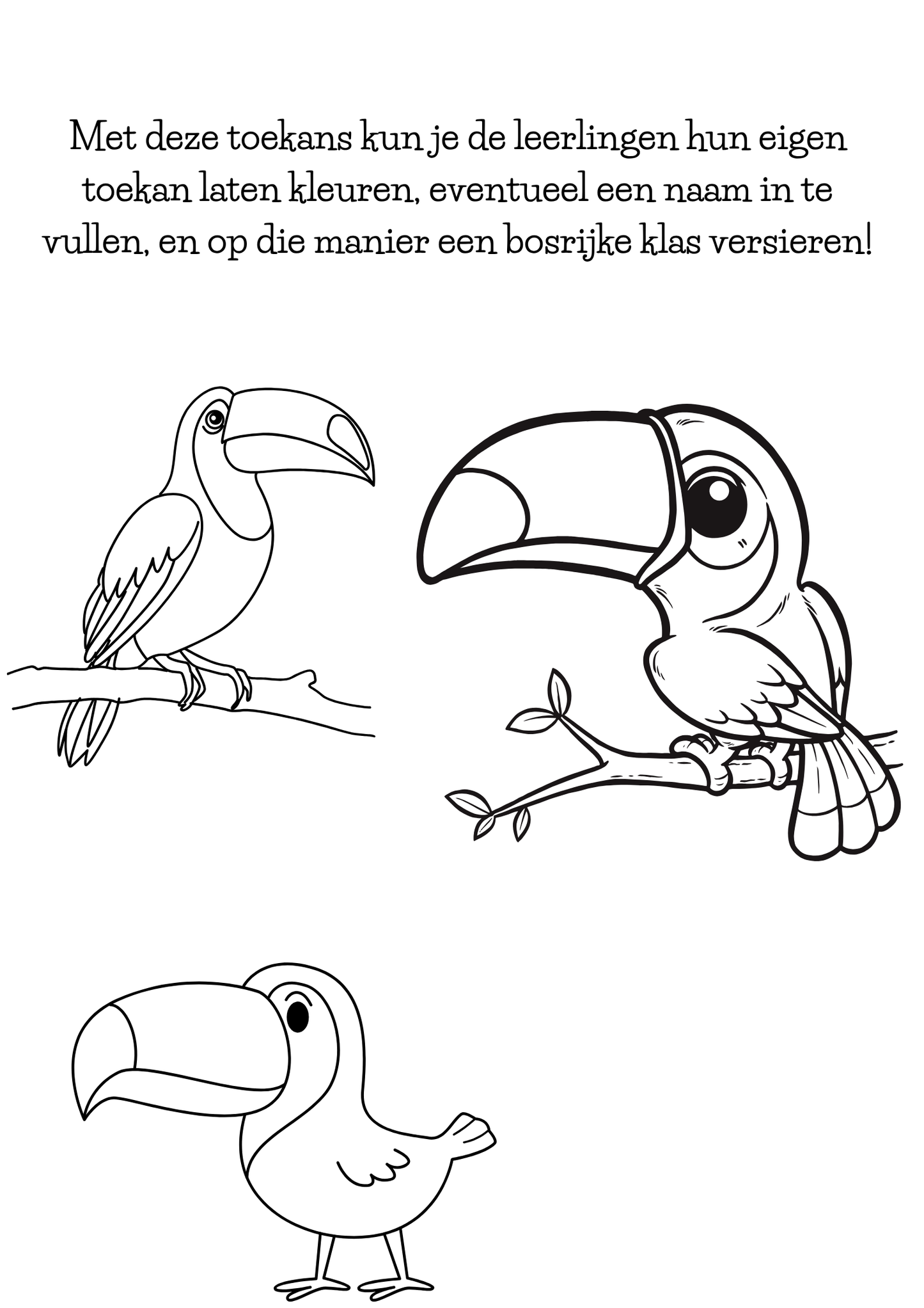 Dagritmekaarten thema 'Toekan'