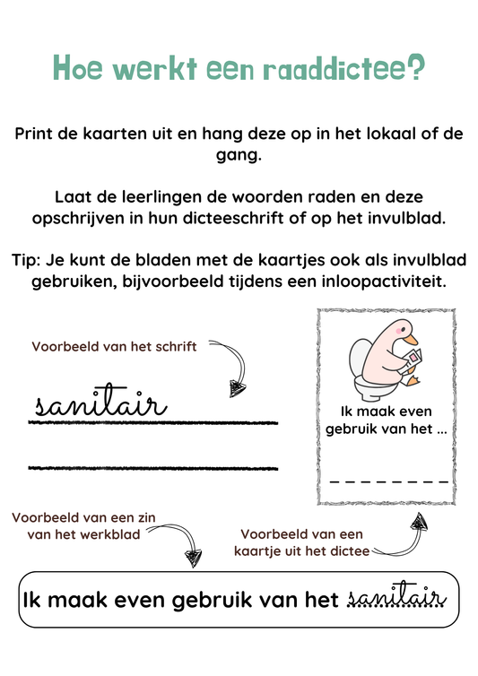 Raaddictee-bundel groep 7 / groep 8