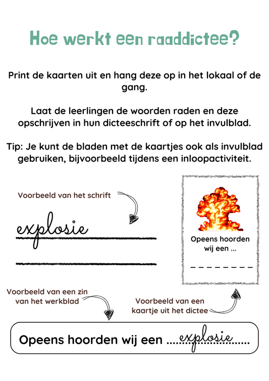 Raaddictee-bundel groep 6