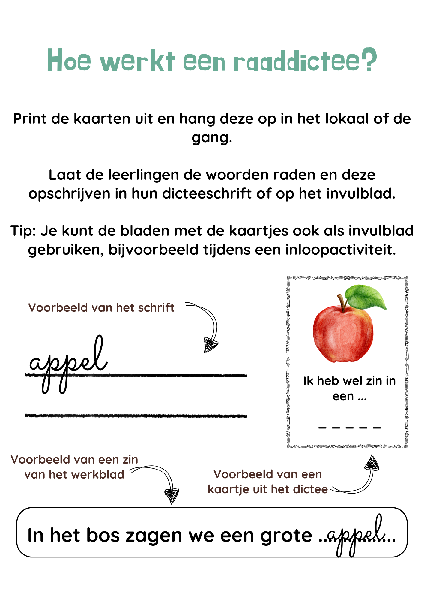 Raaddictee-bundel groep 5